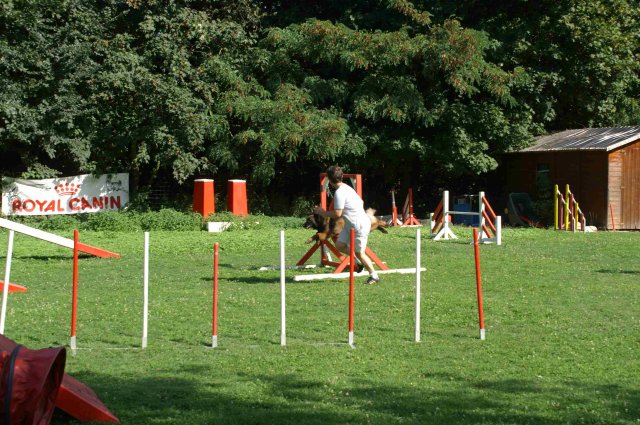 agility 2011-08